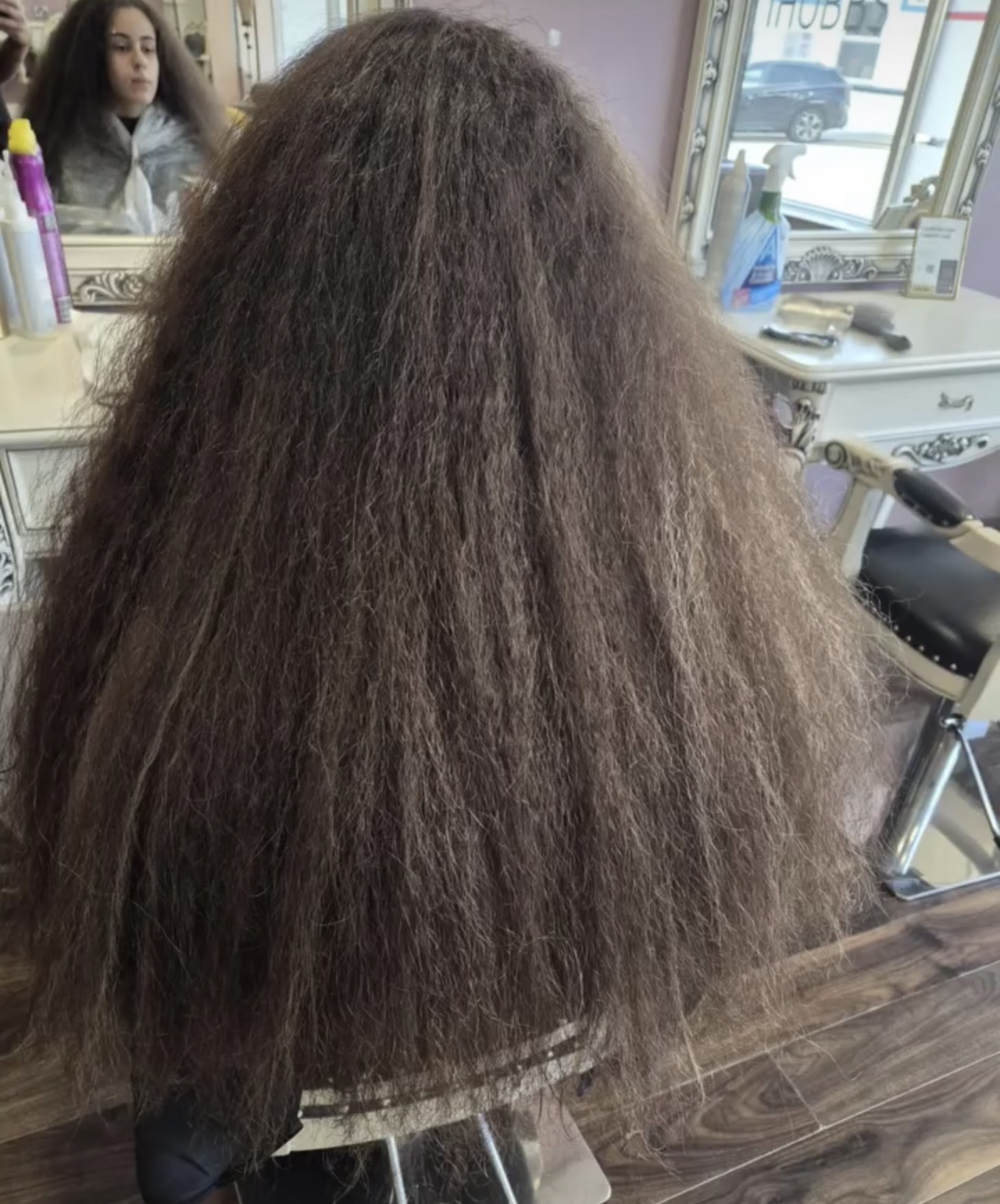 Genuine iHobbs client before a professional keratin treatment, full coarse brunette hair photographed from the back